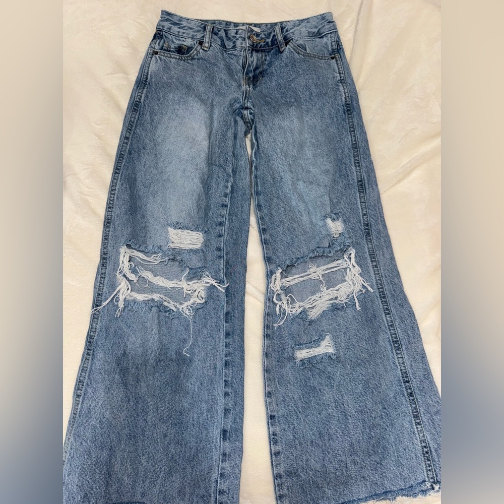 Pacsun Lowrise Baggy Jeans